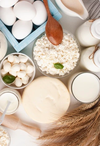 Grupo Químico Contreras